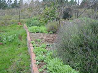 1101 High Rd, Cazadero