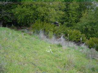1101 High Rd, Cazadero